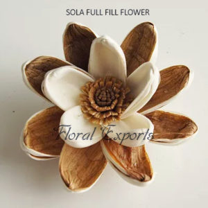 SOLA FLOWERS WHOLESALE - SOLA FULL FILL FLOWER