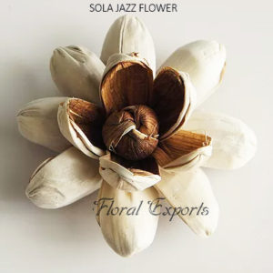 SOLA FLOWERS EXPORTERS - SOLA JAZZ FLOWER