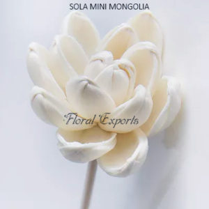 SOLA FLOWERS MANUFACTURER - SOLA MINI MONGOLIA