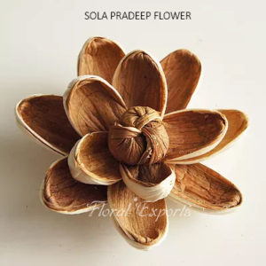 SOLA FLOWERS INDIA - SOLA PRADEEP FLOWER