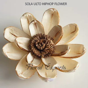 WHOLESALE SOLA FLOWERS - SOLA ULTO HIPHOP FLOWER