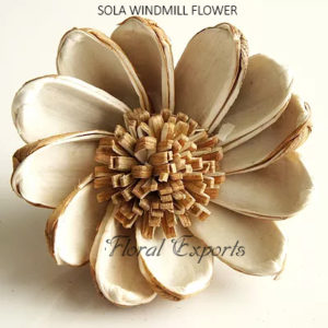 BULK SOLA FLOWERS - SOLA WINDMILL FLOWER