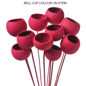BELL CUP COLOR ON STEM - DRIED FLOWERS BULK