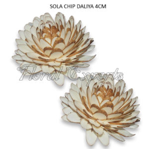 SOLA CHIP DAHLIA - SOLA WOOD FLOWER MANUFACTURER