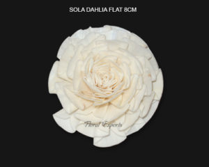 SOLA DAHLIA FLAT 8CM - SOLA WOOD FLOWERS SUPPLIERS