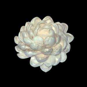 SOLA DAHLIA SPECIAL - SOLA WOOD FLOWERS INDIA