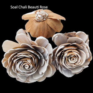 Soal Chali Beauti Rose