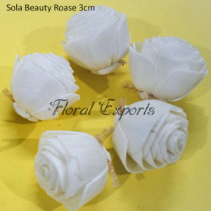 Sola Beauty Rose 3cm - Sola Flowers Bulk Purchase