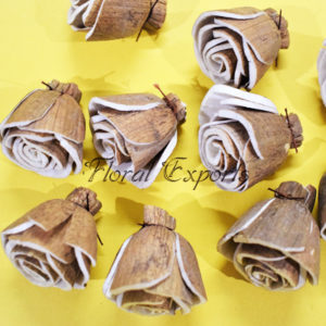 Sola Chali Beauty Rose 3cm - Sola Flower Bulk Exporters