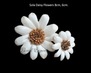 Sola Daisy Flowers - Sola Wood Flowers Bulk Purchase