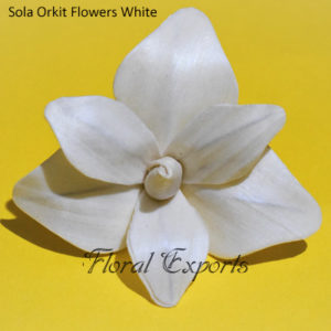 Sola Orkit Flowers White - Sola Wood Flowers Bulk Sale