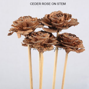 Natural Dried Flowers - CEDER ROSE ON STEM