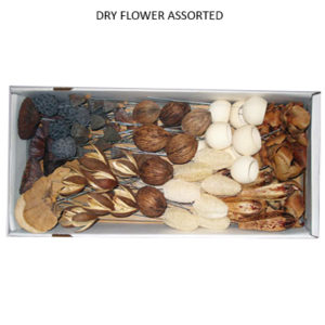 DRY FLOWER ASSORTED