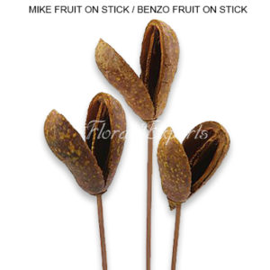 MIKE FRUIT / BANZO FRUIT