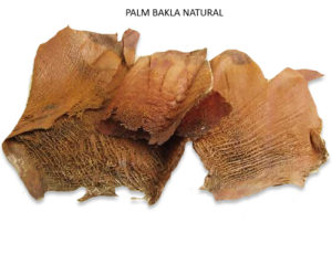 PALM BAKLA NATURAL