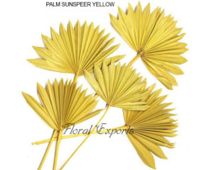 DRY FLOWER