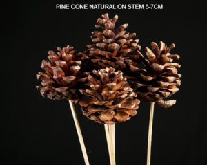 PINE CONE WHOLESALE