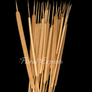 DRY FLOWERS WHOLESALE