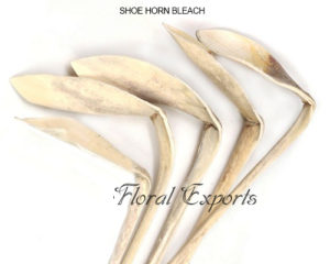 BULK PURCHASE DRIED FLOWERS