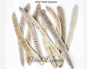 STEP FRUIT BLEACH