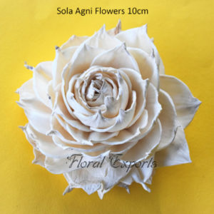 Shola Flowers Bulk