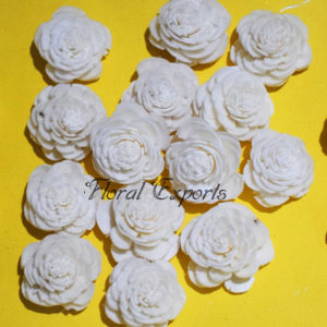 Sola Flowers