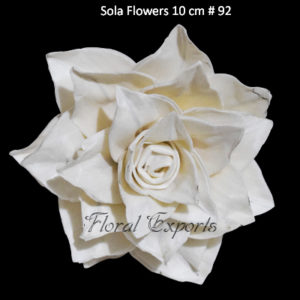 Where to buy sola Flowers