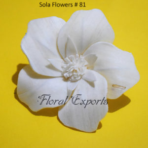 Sola Wood Flowers