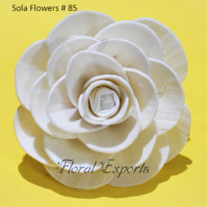 Sola Wood Flowers