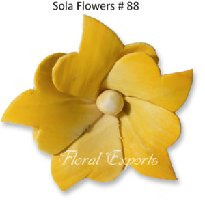 Wood Flowers
