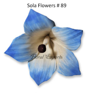 Sola Flower Bulk Manufacturer