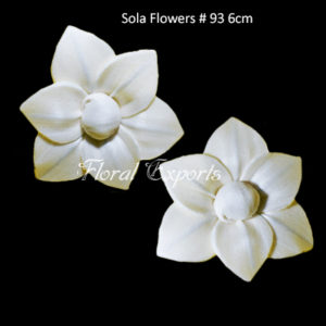 Bulk Sola Flowers
