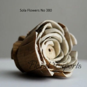 Shola Flowers USA - Sola Flowers No 380