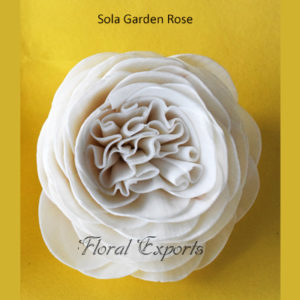 Sola Flowers