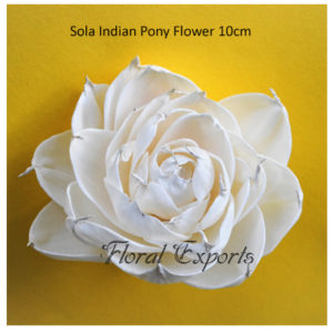 Shola Flowers