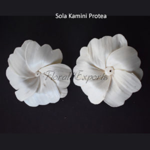 Cheap Sola Wood Flowers - Sola Kamini Protea