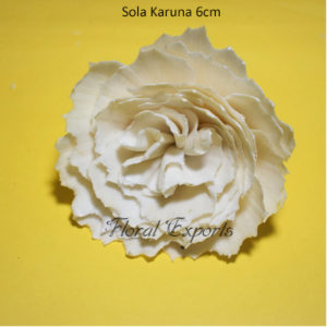 Shola Flowers