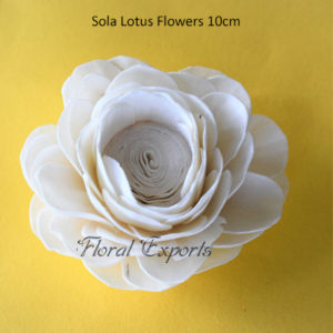 Shola ЦВЕТЯ SOLA ЦВЕТЯ - Sola Lotus Flowers 10cm