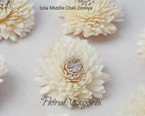 Shola Wood Flowers - Sola Middle Chali Zinniya