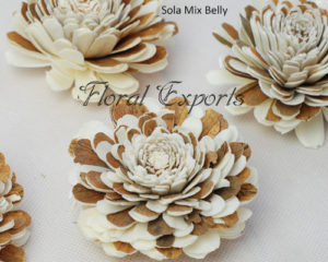 Shola Wood Flowers Wholesale - Sola Mix Belly