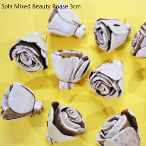 Sola Flowers