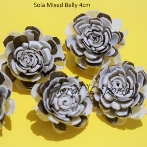 Shola CVIJEĆE - Sola Mixed Belly 4cm