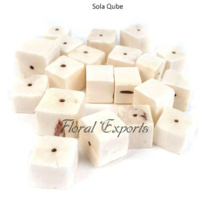 Shola Wood Flowers Bulk Purchase - Sola Qube