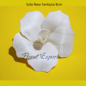 Shola BLOEMEN - Sola Ratan Popy Flower 8cm