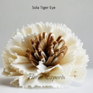 Sola Flowers