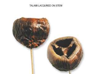 DRIED FLOWERS WHOLESALE