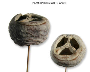 TALAMI ON STEM WHITE WASH